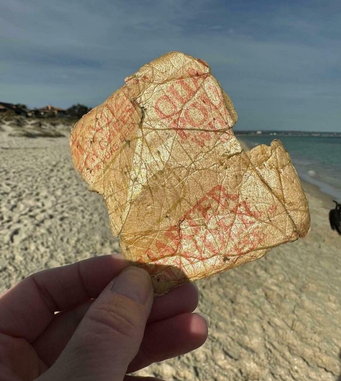 Hand holding a worn, c*****d vintage paper found at the beach with ocean and sandy shore in the background.