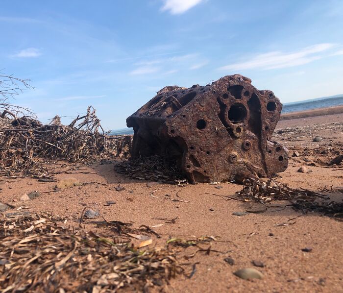 Rusty, abandoned mechanical object partially buried in the sand surrounded by dried seaweed on a beach.