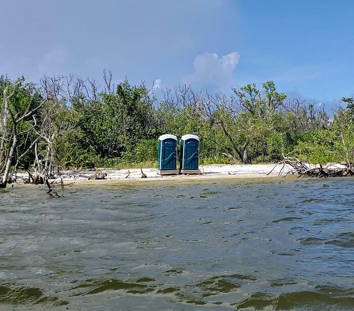 Two portable toilets placed on a remote beach with trees and calm water, an interesting and bizarre beach find.