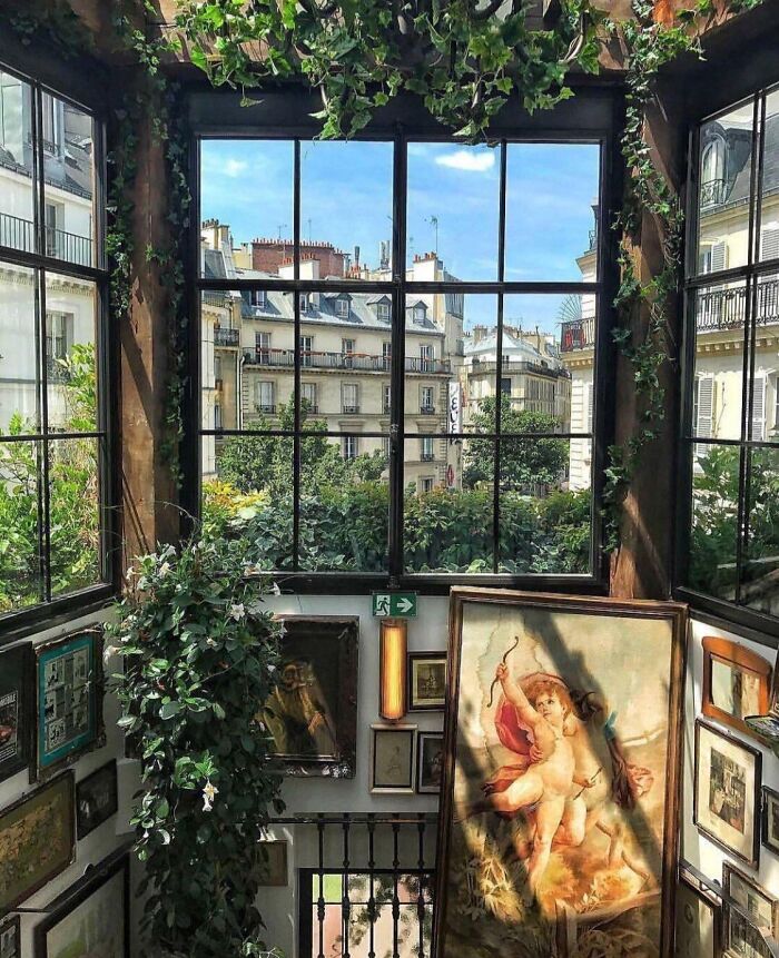 Interior of a creative bar with large windows, greenery, and framed art, showcasing unique design among bars and restaurants.