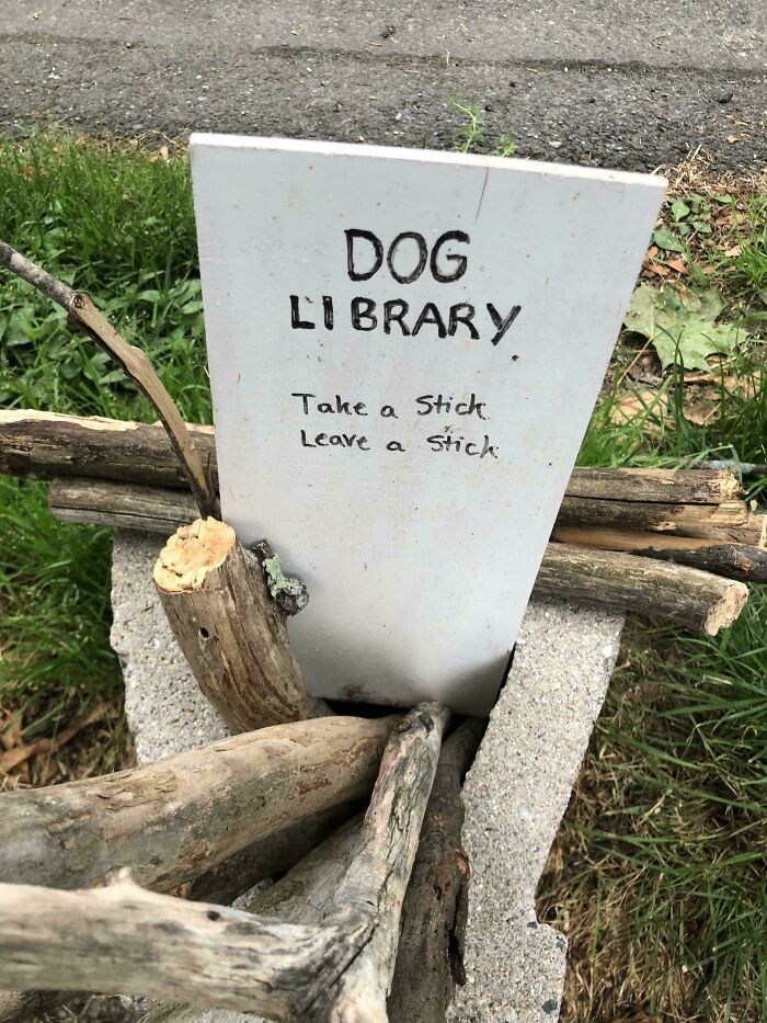 Small outdoor dog library with sticks for sharing, showcasing wholesome kind neighbors' community spirit.