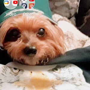 valerieaudino avatar