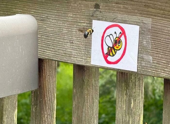 A humorous no bees allowed sign taped to a wooden fence with a bee flying nearby, showcasing random funny notes.