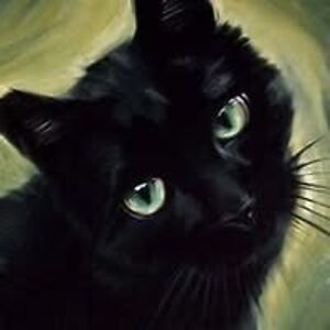 dee_palmiotti avatar