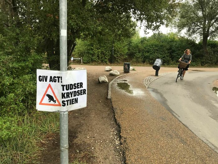 Sign warning about toad crossing on a path in a green area with a person cycling nearby in Denmark.