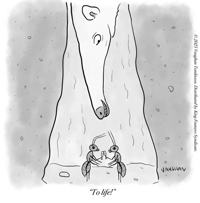 These One-Panel Cartoons By Vaughan Tomlinson Will Make You Laugh Instantly