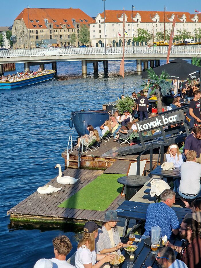 People enjoying outdoor dining by the water in Copenhagen near a dock with swans and historic Danish architecture nearby.