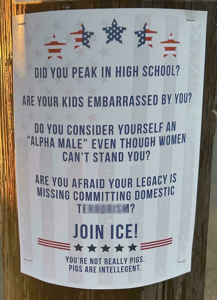 Poster with sarcastic text challenging "alpha male" stereotypes and referencing chaotic good people who did the right thing humorously.