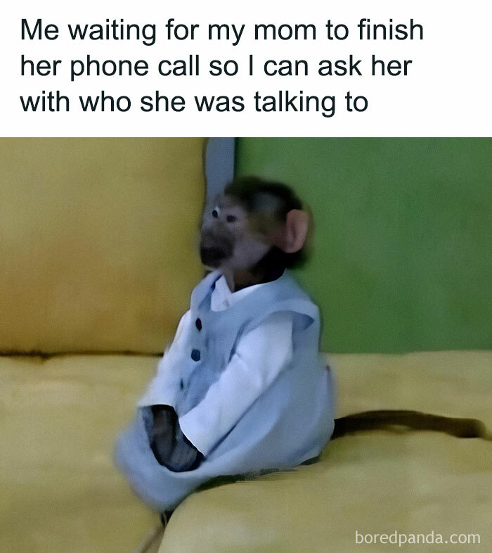 Monkey dressed in clothes sitting patiently on a couch, illustrating introvert-worthy memes about waiting and curiosity.