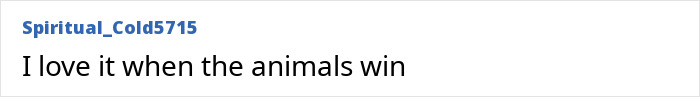 Comment text on a white background with username Spiritual_Cold5715 stating love for when animals win, relating to millionaire trophy hunter gored by buffalo. Comment text on a white background with username Spiritual_Cold5715 stating love for when animals win, relating to millionaire trophy hunter gored by buffalo.