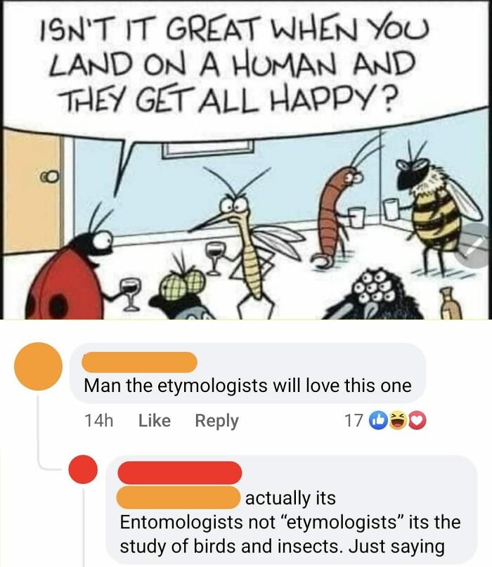 Cartoon of insects drinking and joking, with social media comments correcting “etymologists” to “entomologists” in an online group.