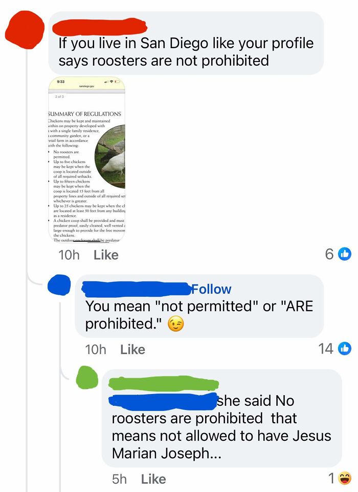 Screenshot of a social media thread showing overconfident know-it-alls incorrectly correcting rooster regulations.