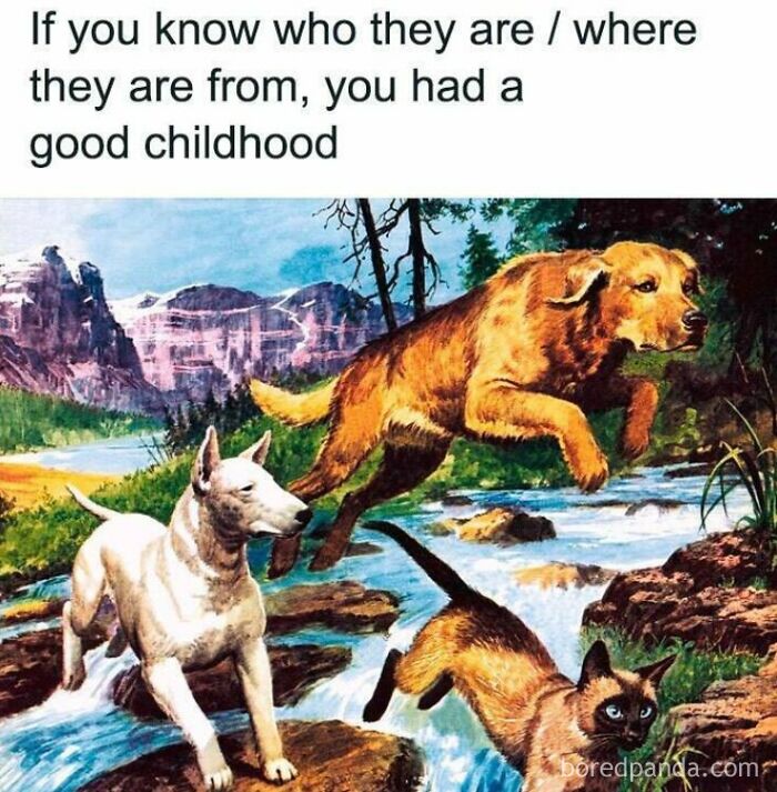 Illustration of dogs and a cat crossing a stream, evoking 90s kids nostalgia and childhood memories from that era.