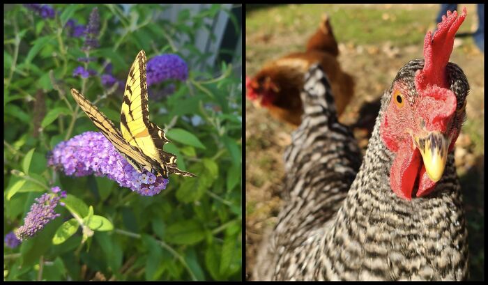 Andrew Ward's Camera Captures What We Forget To See