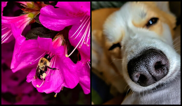 Andrew Ward's Camera Captures What We Forget To See