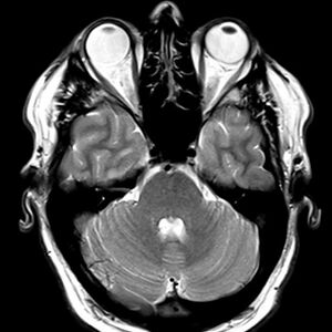 bartlettjadam avatar