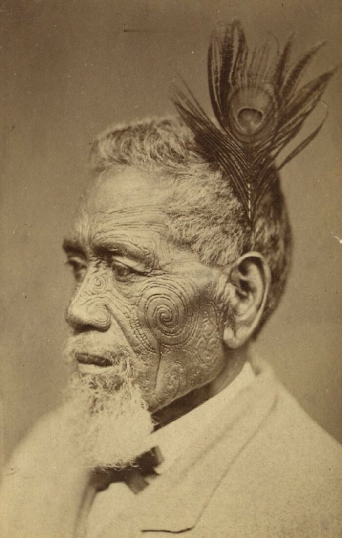 Portrait of a Māori elder with traditional facial moko and a feather crown, representing Māori life a century ago.