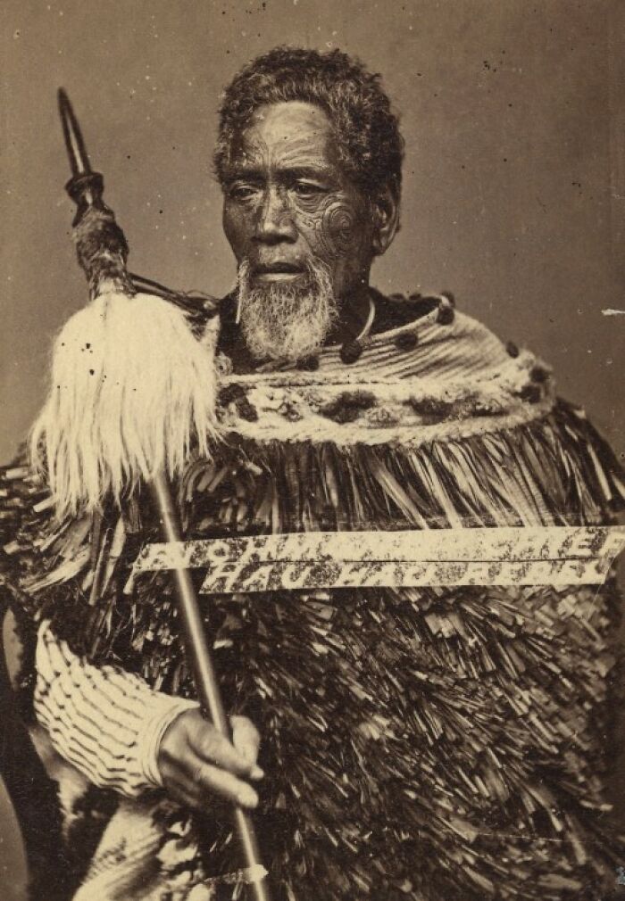 Māori elder with traditional facial tattoo and ceremonial cape holding a carved staff in a powerful vintage portrait.