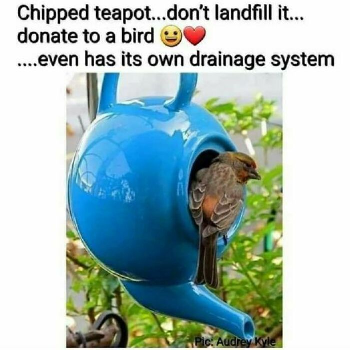 Blue chipped teapot repurposed as a birdhouse with drainage, showcasing ingenious crafty ideas for recycling items.