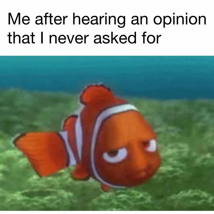 Funny meme featuring a clownfish looking unimpressed, capturing relatable daily dose of laughter and good vibes.