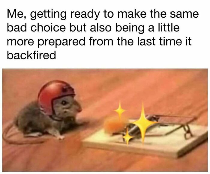 Mouse wearing a helmet approaches a mousetrap, illustrating funny memes for a daily dose of laughter and good vibes.