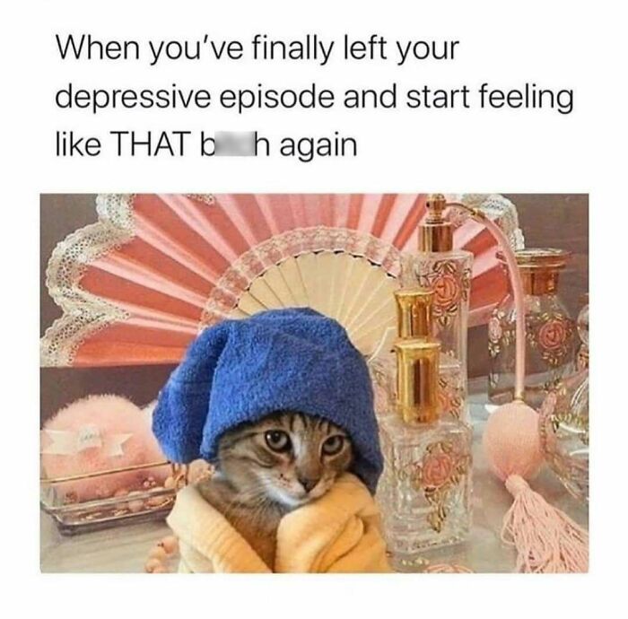 Cat wrapped in a towel and wearing a blue towel hat, humorously representing funny memes that hit you right in the too real part.