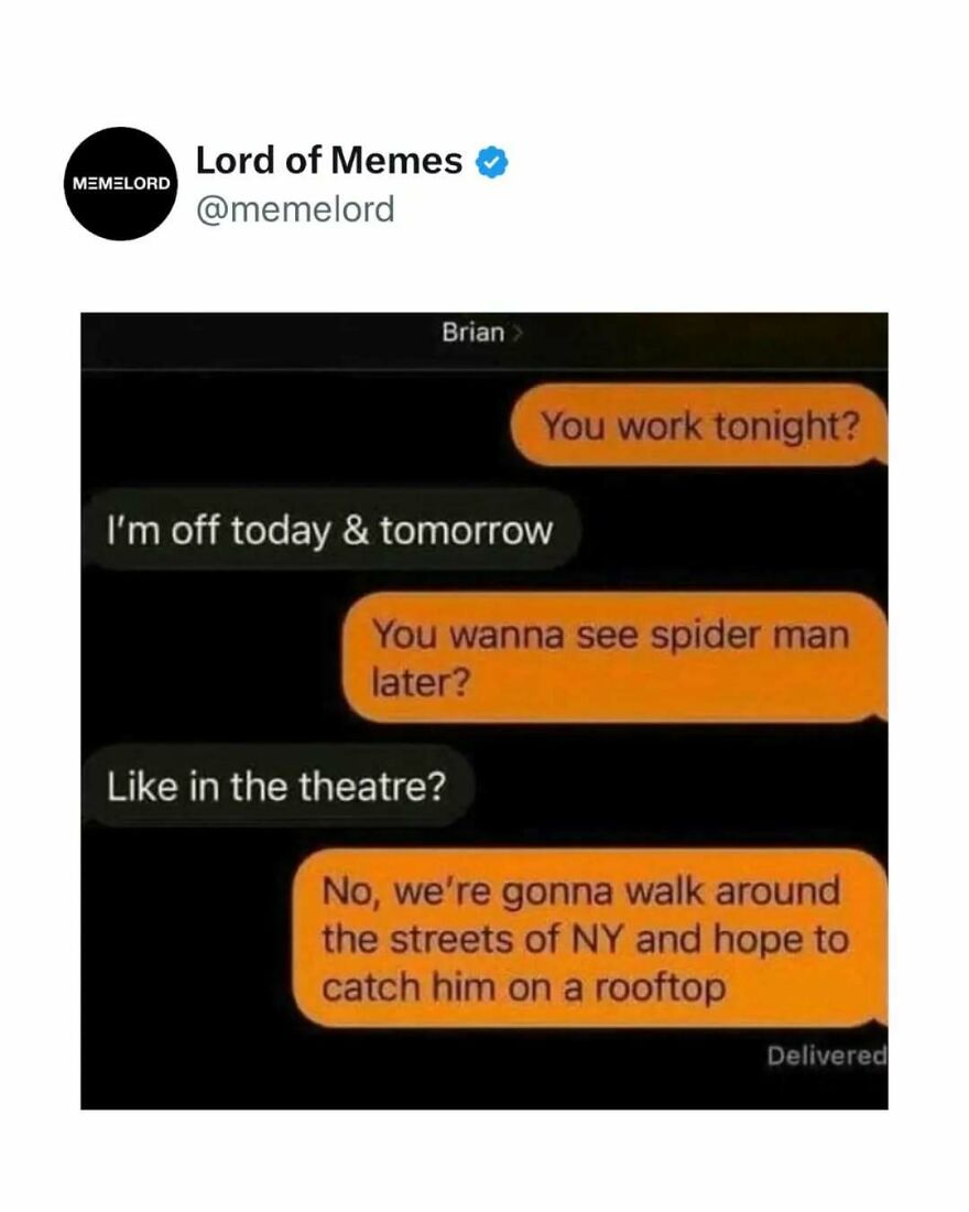 Text message meme about seeing Spider-Man in New York, shared by Lord of Memes, illustrating popular meme culture.