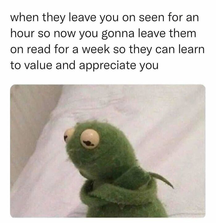 Text meme about leaving someone on read, featuring a sad Kermit, illustrating funny memes that hit too real.