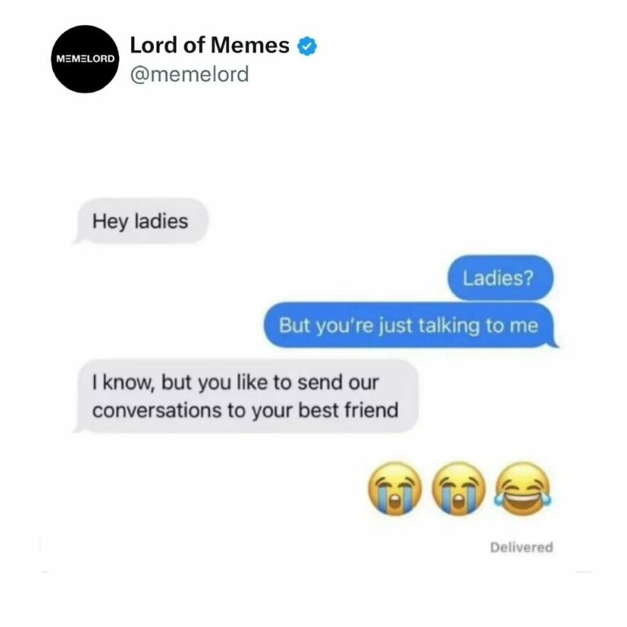 Text conversation meme from Lord of Memes about sending texts to a best friend, part of memes to break doomscrolling.