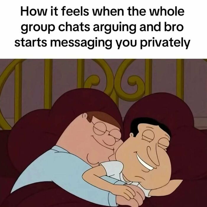 Two cartoon characters smiling and relaxing with text about private messaging during group chat arguments, introvert memes.