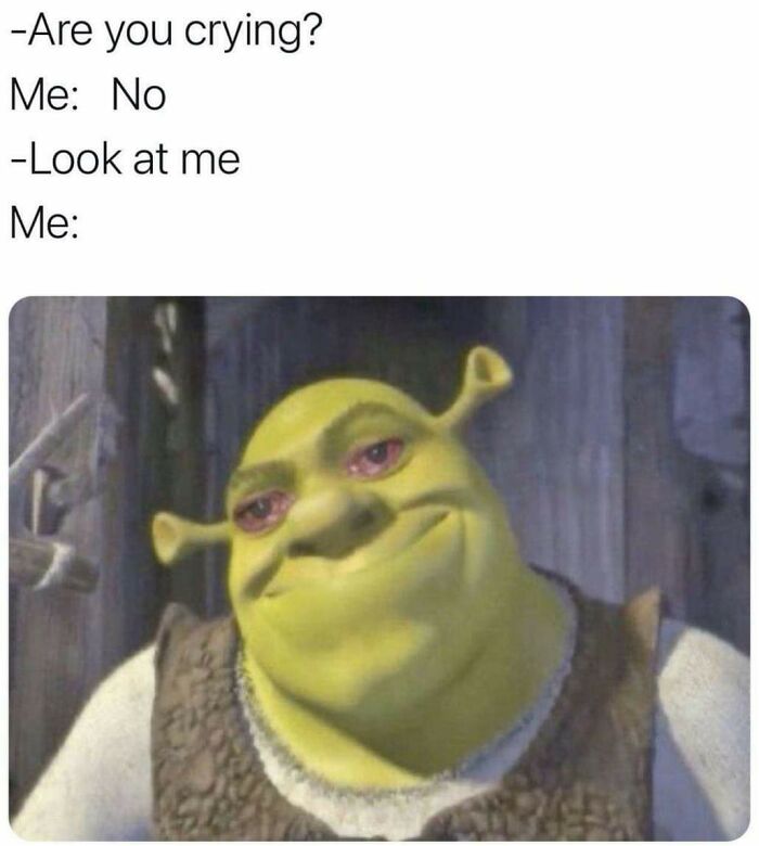 Meme with Shrek looking emotional and red-eyed, illustrating a funny moment that hits the too real part of the brain.