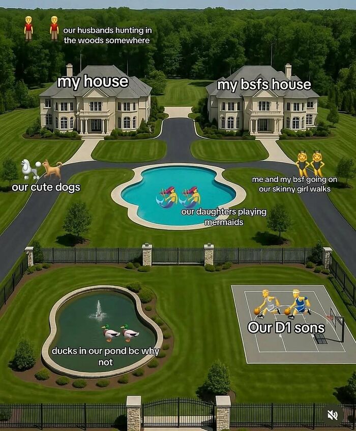 Aerial view of two large houses with labeled areas showing introvert-worthy meme themes of family, dogs, and activities.