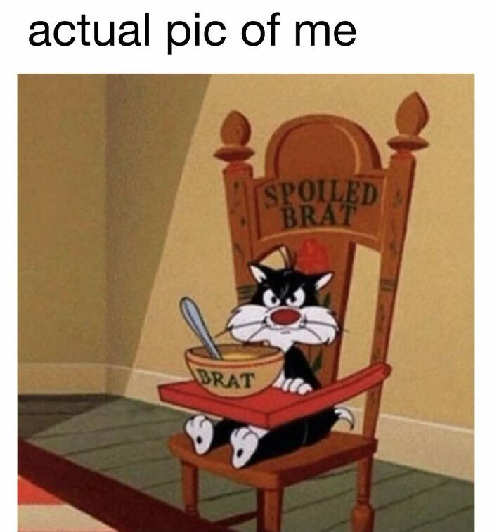 Cartoon cat sitting on a wooden chair labeled spoiled brat with a bowl labeled brat, funny meme for daily laughter.