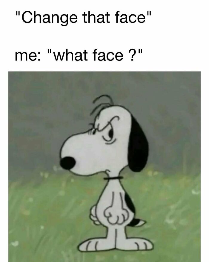 Funny meme featuring a cartoon dog with an angry face, perfect for hilarious memes and good vibes content.