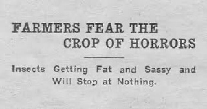 Vintage newspaper headline about farmers fearing a crop of horrors with insects growing fat, from historical photos collection.