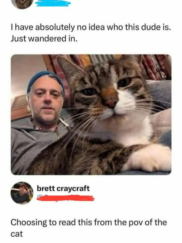 Man and cat selfie meme with caption about confusion and reading from the cat's point of view in random memes collection.