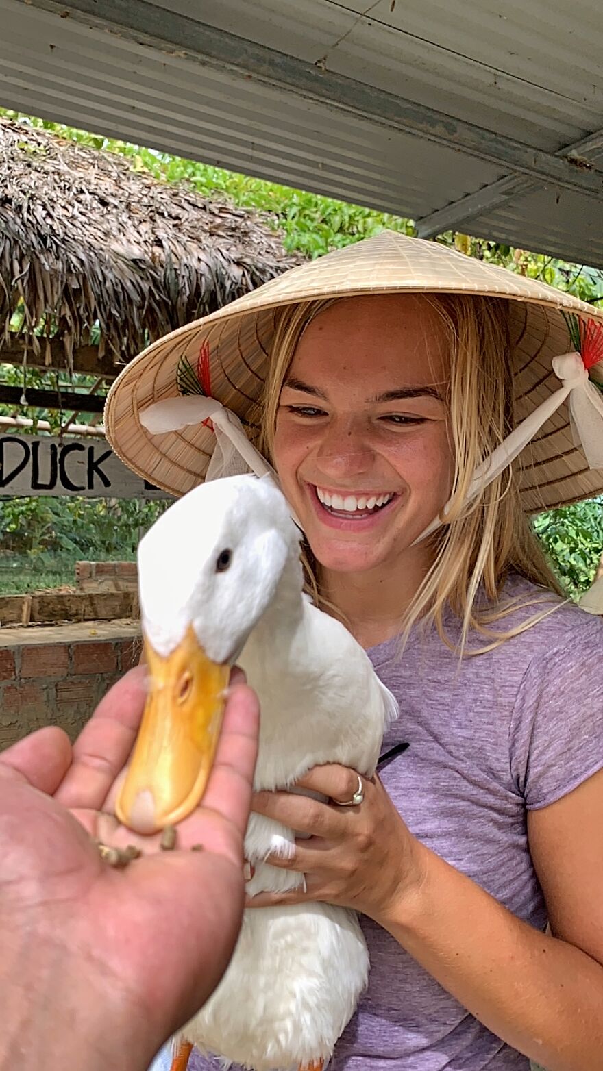 Young woman wearing a conical hat holds a white duck, symbolizing a one-way flight to Australia and new life opportunities. Young woman wearing a conical hat holds a white duck, symbolizing a one-way flight to Australia and new life opportunities.