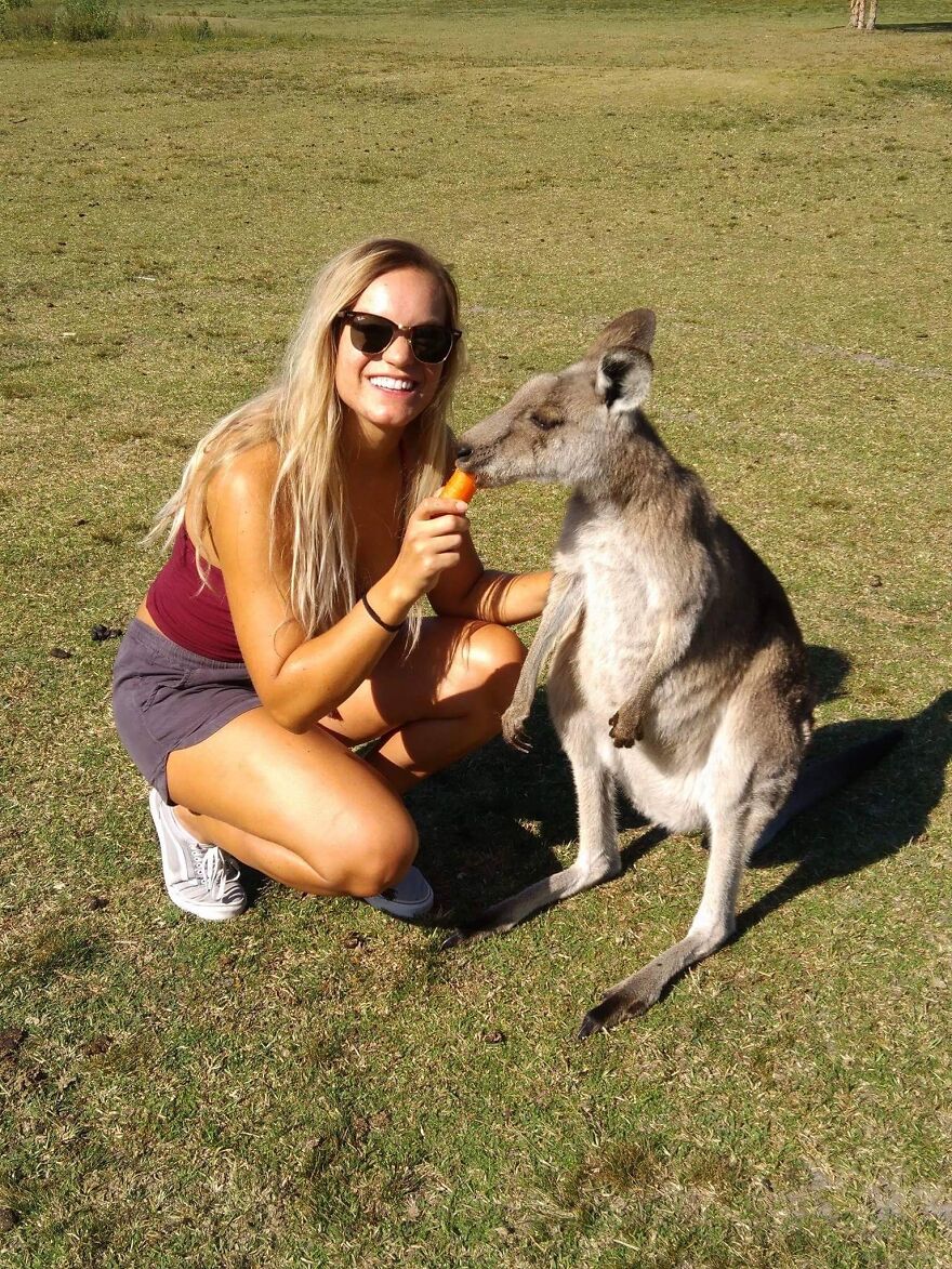 Young woman feeding a kangaroo a carrot outdoors in Australia, capturing the experience of a one-way flight adventure. Young woman feeding a kangaroo a carrot outdoors in Australia, capturing the experience of a one-way flight adventure.