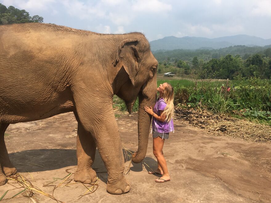 Young woman touching an elephant in nature, symbolizing a one-way flight to Australia changing life and overcoming debt.