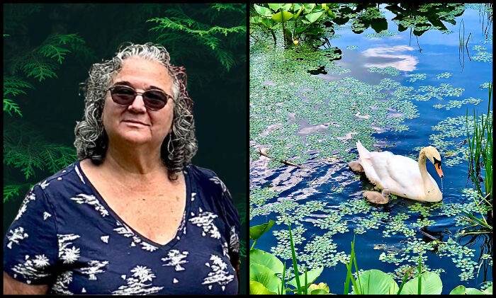 The Visual Poetry Of Nature Seen Through Ilene’s Lens The Visual Poetry Of Nature Seen Through Ilene’s Lens