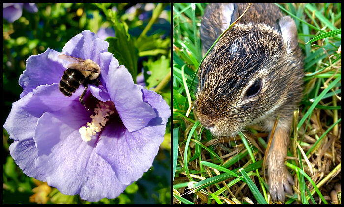 The Visual Poetry Of Nature Seen Through Ilene’s Lens The Visual Poetry Of Nature Seen Through Ilene’s Lens