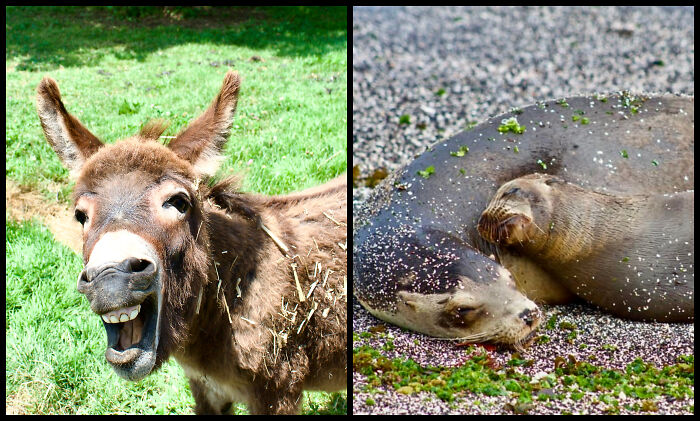 The Visual Poetry Of Nature Seen Through Ilene’s Lens The Visual Poetry Of Nature Seen Through Ilene’s Lens