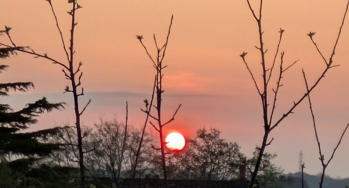 Spring 2025 - Lancashire, UK