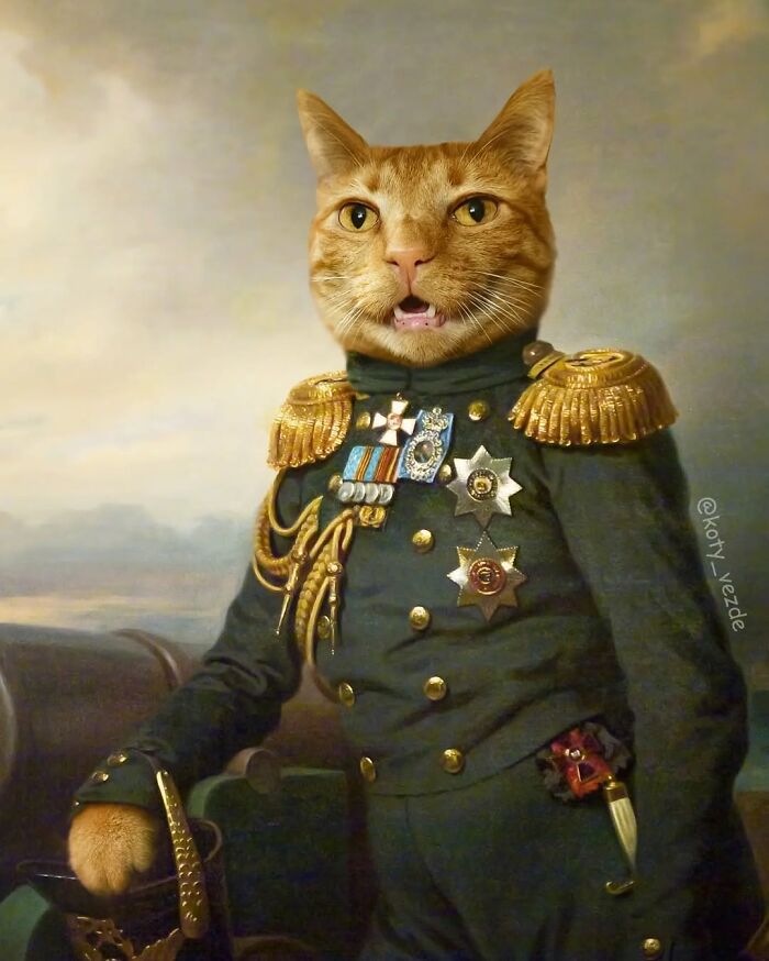 Cat transformed into a majestic figure wearing a decorated historical military uniform with medals and golden epaulets.