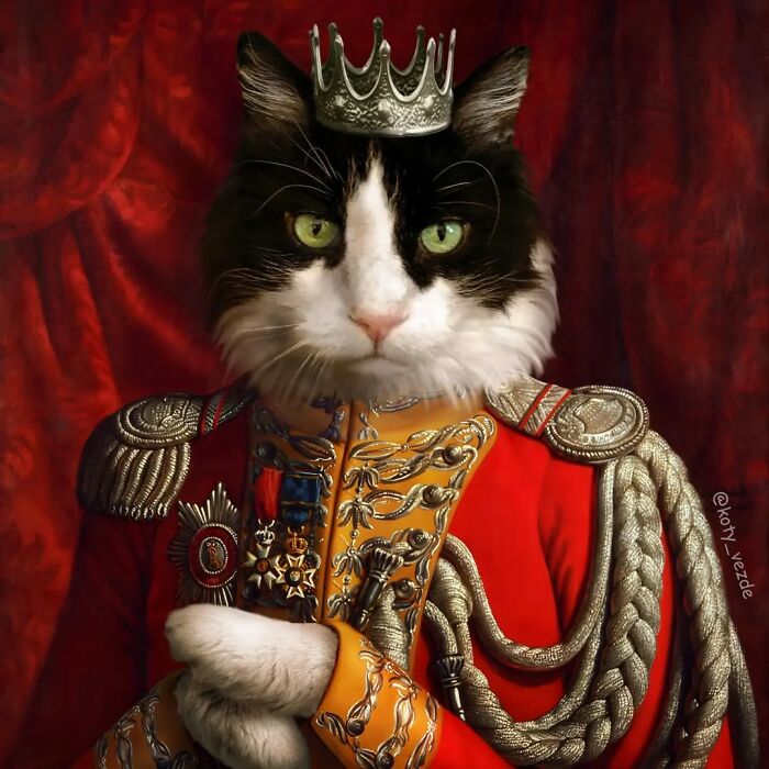 Black and white cat dressed as a noble figure wearing a crown and ornate historical military uniform, cats transformed portrait.