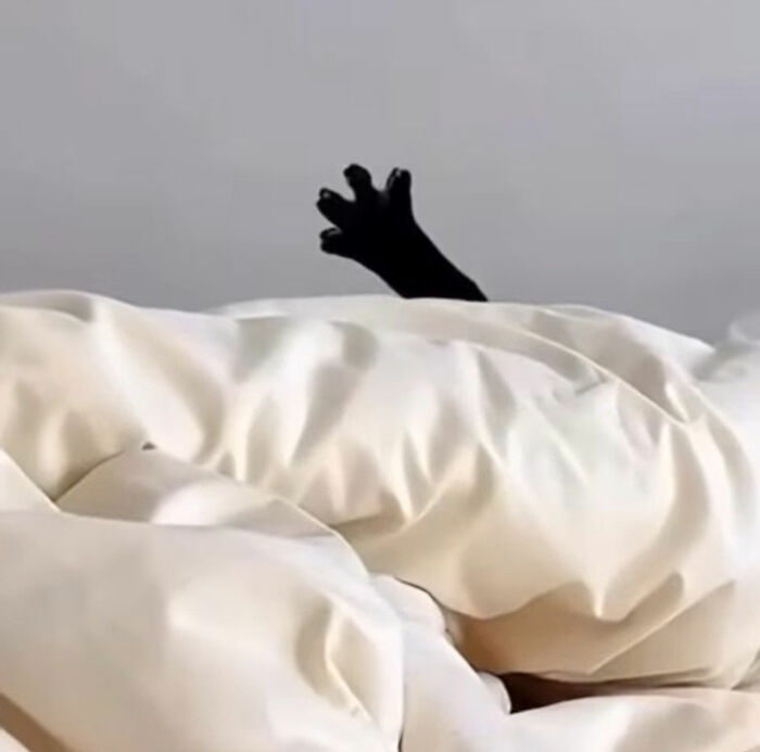 Minimalist doodle of a black cat paw poking out from under wrinkled blankets, inspired by viral cat pics.