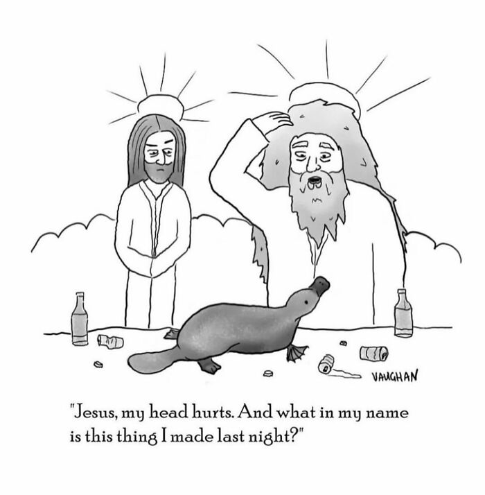 These One-Panel Cartoons By Vaughan Tomlinson Will Make You Laugh Instantly