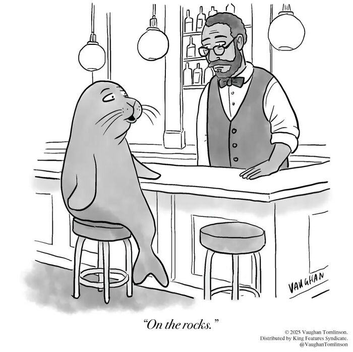 These One-Panel Cartoons By Vaughan Tomlinson Will Make You Laugh Instantly