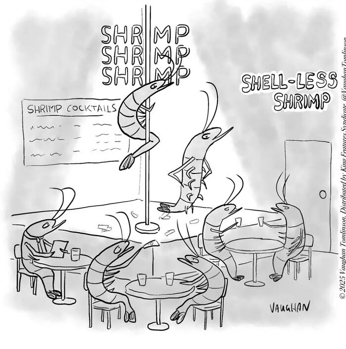 These One-Panel Cartoons By Vaughan Tomlinson Will Make You Laugh Instantly