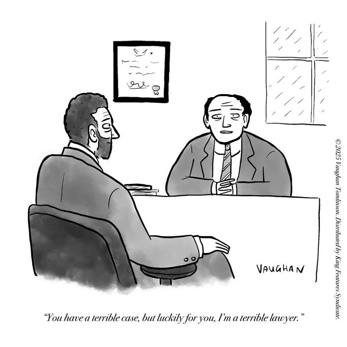 These One-Panel Cartoons By Vaughan Tomlinson Will Make You Laugh Instantly